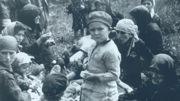 Bildliche Ausz&uuml;ge aus dem Auschwitz-Album. - &copy; Auschwitz-Album