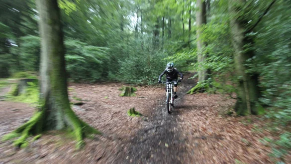 Downhillfahren am Hermann soll jetzt legal sein. - &copy; Sven Koch(LZ)