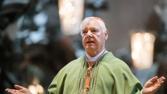 Kardinal Gerhard Ludwig M&uuml;ller - &copy; Foto: Andreas Arnold/dpa