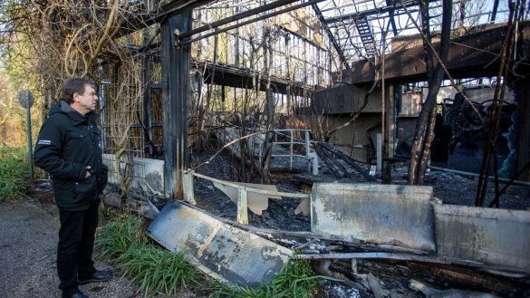 &Uuml;berreste des Affenhauses - &copy; Foto: Christoph Reichwein/dpa