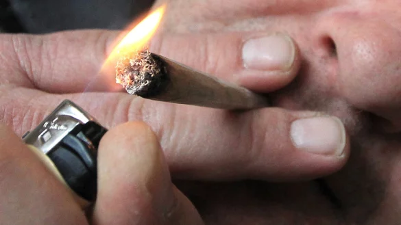 Cannabis - &copy; Foto: picture alliance / Karl-Josef Hildenbrand/dpa