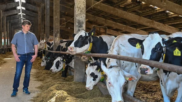 Ok&ouml;-Betrieb - &copy; Foto: Patrick Pleul/dpa-Zentralbild/ZB