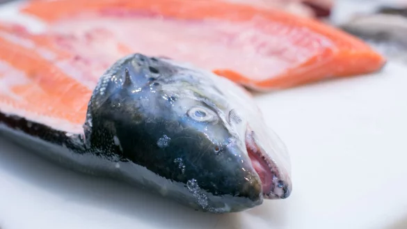Zuchtlachs &uuml;berzeugte mehr - &copy; Foto: Karolin Kr&auml;mer