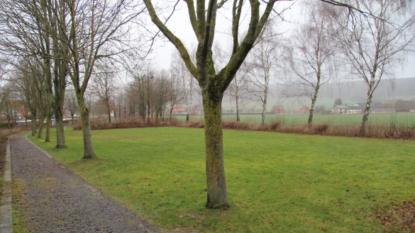 B&uuml;rger wollen eine Hundespielwiese auf dieser Fl&auml;che in Langenholzhausen einrichten. Das ist jedoch baurechtlich nicht m&ouml;glich. - &copy; Nadine Uphoff