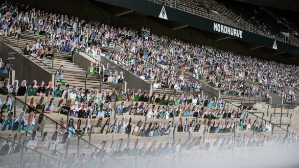 Pappkameraden - &copy; Foto: Marius Becker/dpa