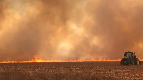 Waldbr&auml;nde im Amazonas - &copy; Foto: CBMMT