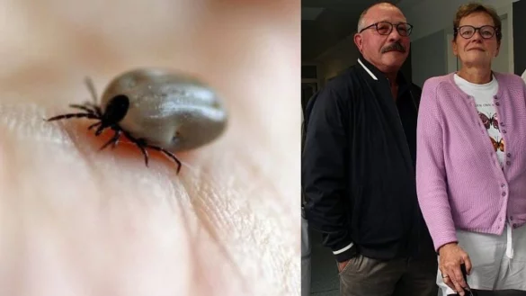 FSME-Patientin Cornelia Bathe und ihr Ehemann Bernd Bathe aus Dörentrup - © Janet König