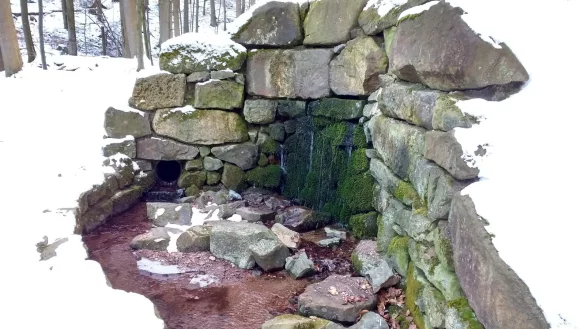 Aus der Magdalenenquelle entspringt das Stadtwasser. - © Freya Köhring