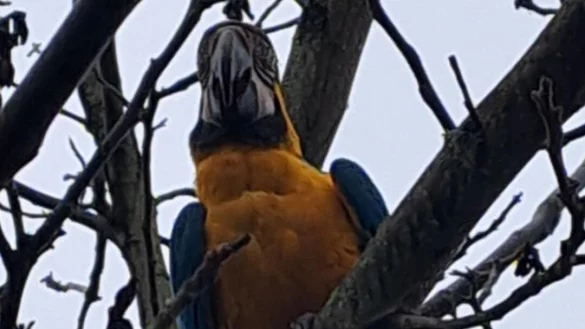 Dieses Foto von Lilli hat eine Lipperin gemacht. - &copy; Fotorechte: Kati Leichsenring