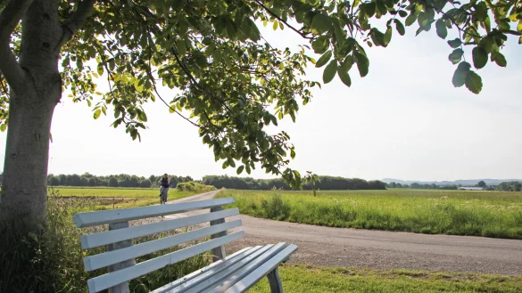 &nbsp;Erweiterung Industriefl&auml;che in&nbsp;Lieme West - &copy; Katrin Kantelberg