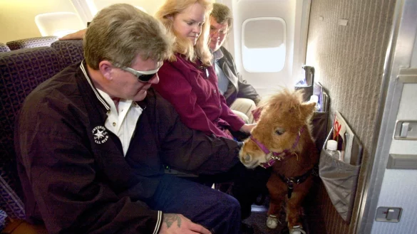 Tiere an Bord - &copy; Foto: Erik S. Lesser