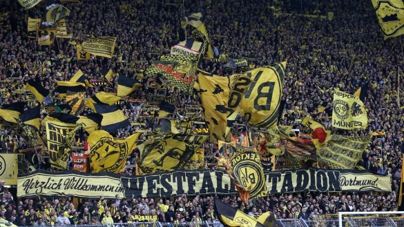 - &copy; picture alliance / Friso Gentsch/dpa