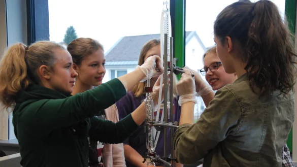 Experimentieren: Alina Schilder, Marie Schmitt, Luisa Gaßmann, Mieke Köder und Johanna Hoppe bauen eine Glasapperatur für die nächsten Versuche zusammen. - © Glandien