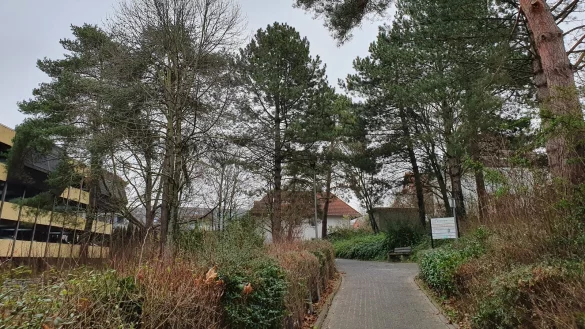 Zwischen dem Parkhaus (links) und dem Eingang zum Klinikum (weiter rechts, nicht im Bild) verläuft nicht nur ein Gehweg, sondern auch eine „grüne Schneise", die die Initiative Baumrettung gerne bewahrt haben möchte. - © Initiative Baumrettung Detmold