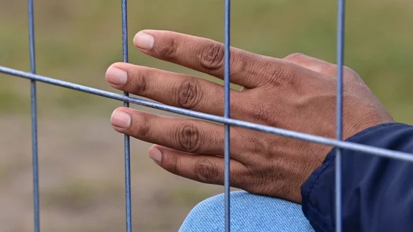 Die Hand am Zaun - &copy; Foto: Patrick Pleul/dpa-Zentralbild/ZB
