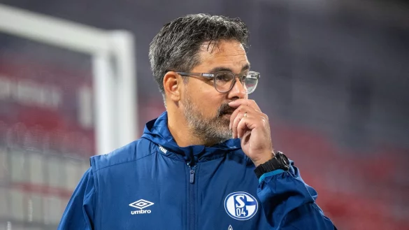 David Wagner - &copy; Foto: Matthias Balk/dpa