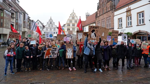 Demonstration: Auf dem Marktplatz bildet sich eine gro&szlig;e Gruppe. Sie fordert mit Plakaten, etwas gegen den Klimawandel zu tun. - &copy; Lorraine Brinkmann