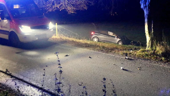 In einer Kurve auf der Dorfstra&szlig;e ist eine junge Frau am Mittwochabend mit ihrem Auto von der Fahrbahn abgekommen, gegen einen Baum gefahren und auf eine Wiese geflogen. - &copy; Thomas Dohna