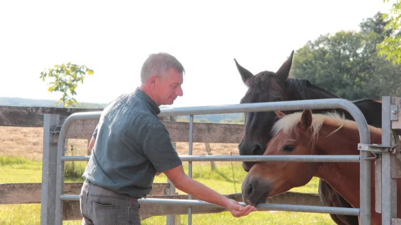 Frank Meier f&uuml;ttert Pferd &bdquo;Rumpelstilzchen" und Pony &bdquo;Jake". Auf dem Hof seiner Eltern ist der Extertaler aufgewachsen, hier hat seine Firma heute ihren Sitz.&nbsp; - &copy; Carolin Brokmann-F&ouml;rster