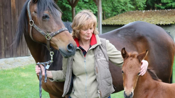 Die stolze Züchterin und ihre Senner Pferde: Annette Strohdiek inmitten ihrer zwei Stuten. Mama "Coleen" hat dabei ihr Fohlen "Venus" ganz genau im Blick. Die Tiere gehören zu Deutschlands ältester Pferderasse. - © Guntmar Wolff