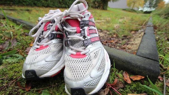 Im Dornr&ouml;schenschlaf: Die Sprunggrube an der Grundschule Bavenhausen hat schon bessere Tage gesehen. Anfang kommenden Jahres wird sie genauso wie die Laufbahn erneuert. - &copy; Jens Rademacher