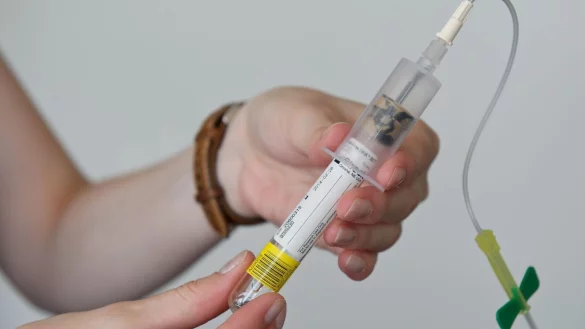 - &copy; Tobias Kleinschmidt/dpa