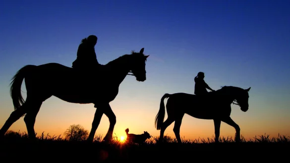 Ausritt am Abend - &copy; Foto: Patrick Pleul/dpa