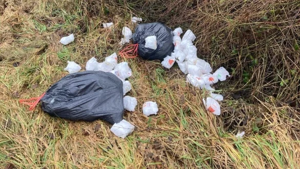 Wild entsorgte Windeln im Straßengraben in Kalldorf sind ein Ärgernis, nicht nur für die Anwohner. - © Fotorechte: LZ