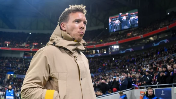 Angefressen - &copy; Foto: Robert Michael/dpa-Zentralbild/dpa