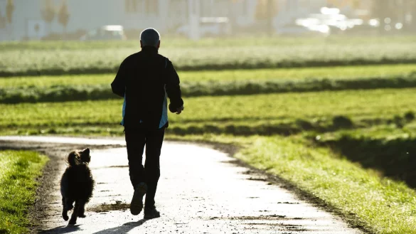 Dogsharing - &copy; Foto: Christoph Schmidt/dpa