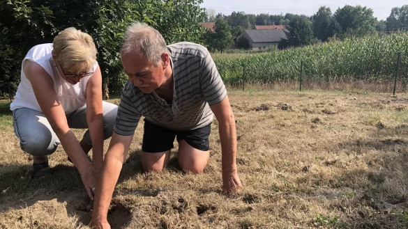 Sind beinahe am Verzeifeln: Carola und Gerd Bollh&ouml;fer finden fast an jedem Morgen neue L&ouml;cher auf ihrem rund 1000 Quadratmeter gro&szlig;en Grundst&uuml;ck. Manche sind bis zu 20 Zentimeter tief. - &copy; Thomas Reineke