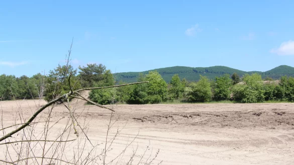 Die Senne in Augustdorf - &copy; Freya K&ouml;hring