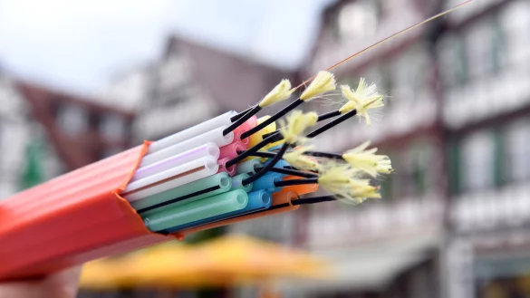 Illustration - &copy; dpa