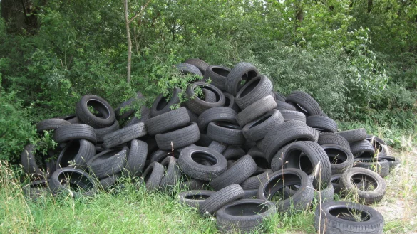 Im Wald entsorgt: In der Nähe von Stapelage haben Unbekannte rund 150 Altreifen verschiedener Fahrzeuge entsorgt. - © Alexander Krawinkel