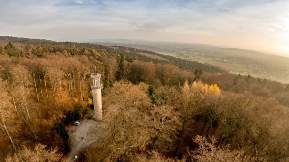 Schon 2018, nach dem ersten der D&uuml;rresommer, sieht es rund um den Aussichtsturm in der Lemgoer Mark so aus &ndash; ziemlich trocken. Inzwischen ist ein Gros der Fichten tot. Ob ihre Gerippe eine Waldbrand-Gefahr darstellen, m&ouml;chte nun die CDU wissen. - &copy; Torben Gocke