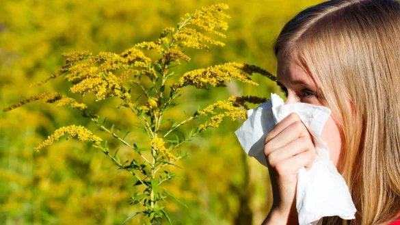 Jetzt beginnt wieder die Leidenszeit für Allergiker im Kreis Gütersloh. Der Klimawandel sorgt dafür, dass die Pollensaison jedes Jahr früher beginnt. - © AOK/Colourbox/hfr