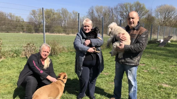Die Hunde von Luba und Vladimir Topor (stehend) k&ouml;nnen zun&auml;chst kostenfrei in der Pension des Tierheims leben. Mit im Bild ist Melanie Vogt, Leiterin des Hundehauses. - &copy; Sven Kienscherf