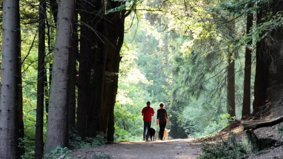 Wandern wird zum Trend. - &copy; Martin D&uuml;sterberg