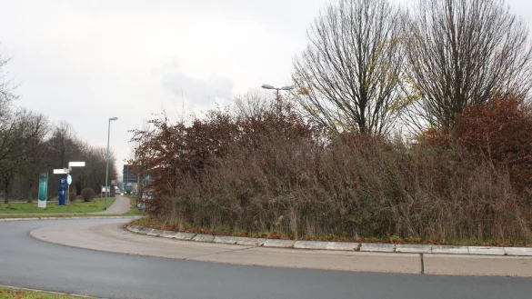 F&uuml;r den Kreisl an den Stadtwerken gibt es bereits Interessenten, die ein Pflege-Patenschaft &uuml;bernehmen m&ouml;chten. - &copy; Sandra Castrup