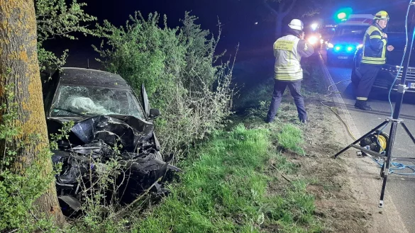 Mit gro&szlig;er Wucht prallte der VW Taigo auf der B241 bei Warburg gegen einen Baum. Zwei Kinder starben. - &copy; Dieter Scholz