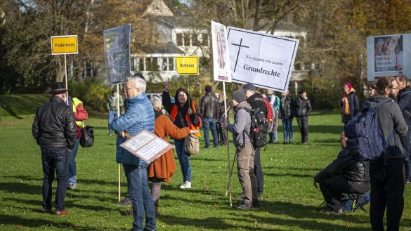 Corona-Leugner versammeln sich auf der Brunnenwiese.&nbsp; - &copy; Laurenz Tegethoff