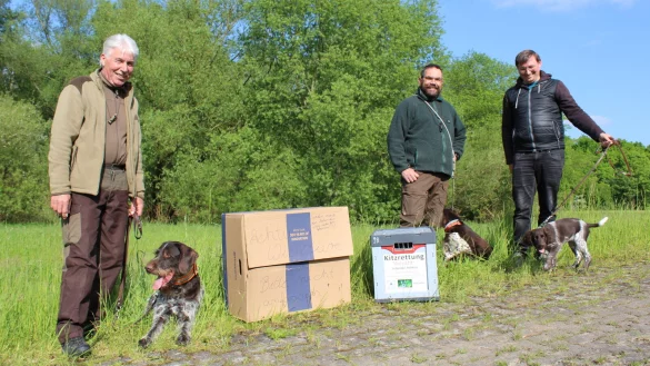 Andreas Niemeier mit Jagdhund "Cuno", Sascha Skoruppa mit "Ires" sowie Christian Meyer zu H&ouml;lsen mit "Lissi" (von links) setzen sich als Mitglieder der Kreisj&auml;gerschaft f&uuml;r die Niederwildsuche vor der Wiesenmahd ein. - &copy; Sandra Castrup