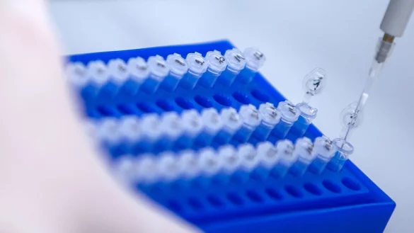 Corona-Varianten - &copy; Foto: Jens B&uuml;ttner/dpa