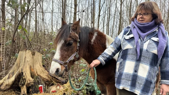 Elke Henga führt "Sultan" durch den Zauberwald, wo sie kleine Wichtel-Häuser aufgebaut hat. - © Sandra Castrup