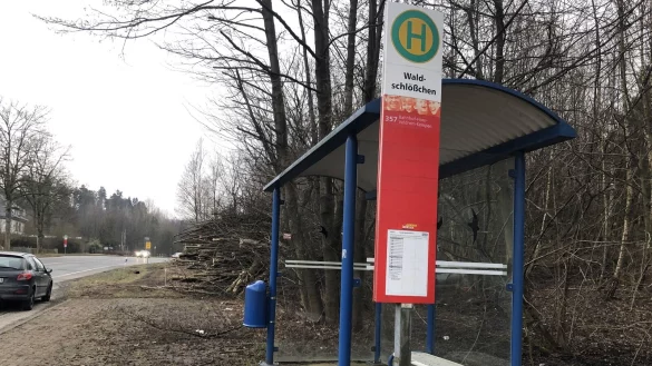 Die Haltestelle "Waldschlößchen" in Horn kann erstmal nicht barrierefrei umgebaut werden. - © Chiara Wibbeke