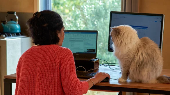 Schöner arbeiten im Homeoffice: Der Trend geht aktuell wieder zurück ins Büro. - © picture alliance / Hans Lucas