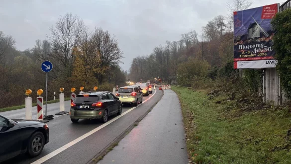 Die Paderborner Straße ist auf Höhe des Freilichtmuseums nur einseitig befahrbar. Eine Baustellenampel regelt den Verkehr. - © Jana Beckmann
