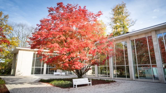 In die Wandelhalle im Kurpark soll wieder eine Gastronomie einziehen. - © Torben Gocke