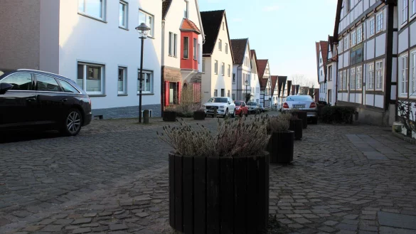 Eine Neuordnung der Pflanzkübel soll für mehr Parkflächen in der Kuhstraße sorgen. - © Nina Schröder