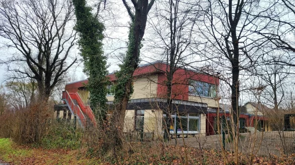 Zwei Eichen stehen dicht an der Kita Bodelschwinghstraße.Der Eigentümer der Immobilie will sie fällen, doch Stadt und Politik schieben dem einen Riegel vor. - © Katrin Kantelberg